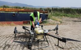 Edremit’te sinekle gayret çalışmaları Drone ile destekleniyor