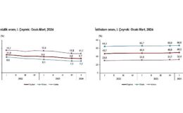 Tüik: Mevsim tesirinden arındırılmış işsizlik oranı %8,7 düzeyinde gerçekleşti