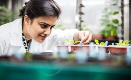 ‘Uluslararası Bilim İştirakleri Fonu’ndan yeni araştırma iş birlikleri için 80 bin Sterlin dayanak