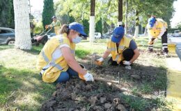 Aydın Büyükşehir Belediyesi, Aydın’ın dört bir tarafını mevsimlik çiçekler ile süslemeye devam ediyor