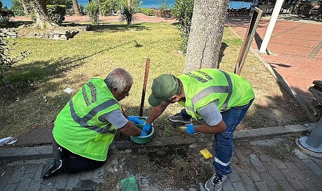 Burhaniye Belediyesi’nden Sokak Hayvanları İçin İhtimamlı Bakım