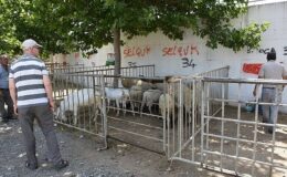 Edremit Belediyesi Kurban Bayramı’na hazır