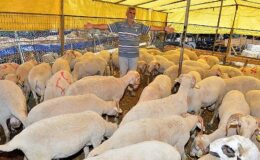 İzmir Büyükşehir Belediyesi garantisiyle Kurban Bayramı için bağış kampanyası başladı