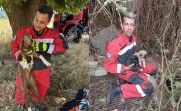 Muğla Büyükşehir İtfaiyesinden Hayvan Kurtarma Operasyonu