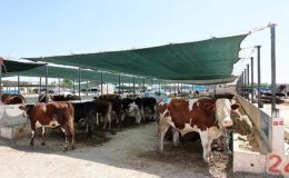 Selçuklu Belediyesi yaklaşan Kurban Bayramı öncesinde vatandaşların ve satıcıların faydalanabileceği kurban satış yerinde çalışmalarını tamamladı