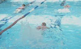 Küçük kulaçların sertifika heyecanı