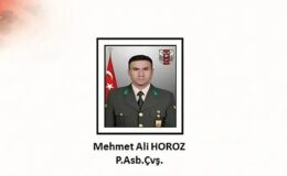 Şehit Mehmet Ali Horoz’un Vasiyeti Nijerya’da Hayat Buldu